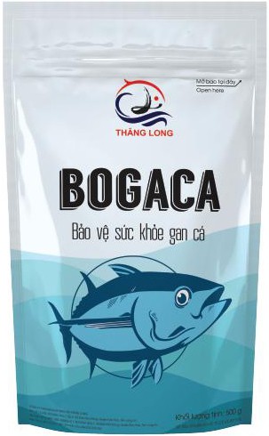 BOGACA